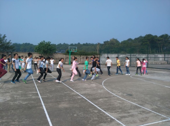 PA视讯集团网站