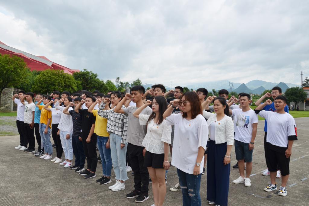 PA视讯集团网站