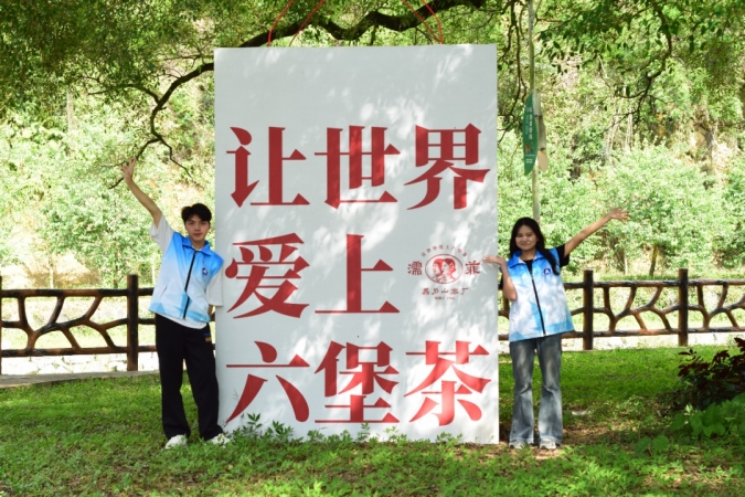 PA视讯集团网站