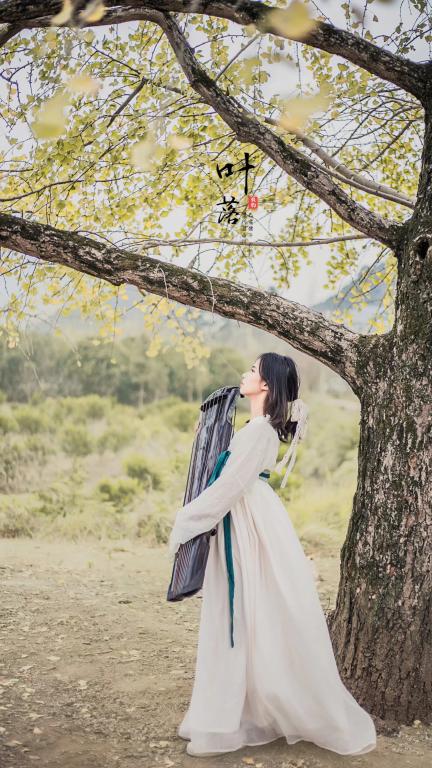 PA视讯集团网站