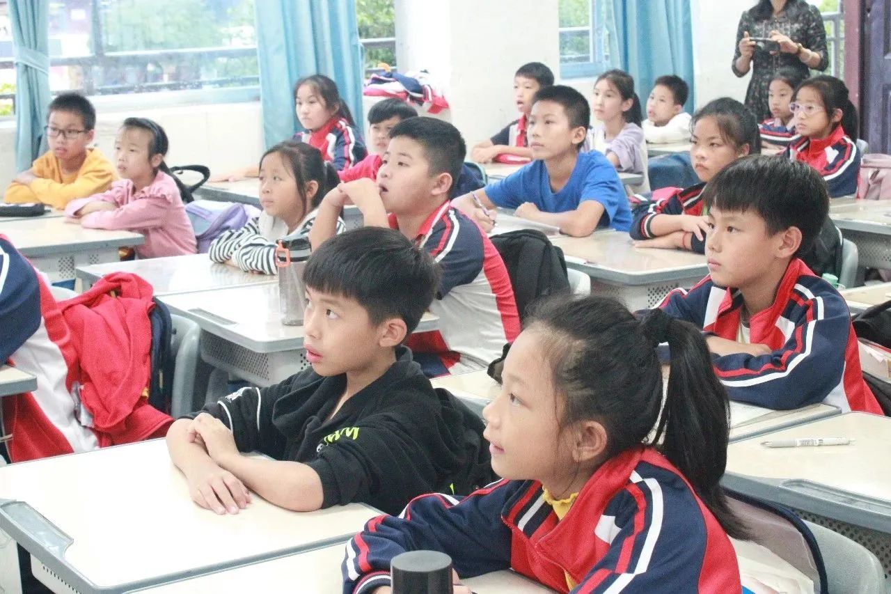 PA视讯集团网站