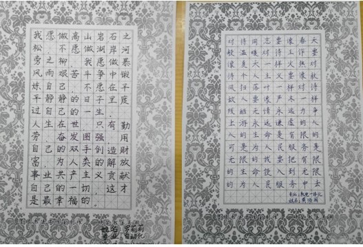 PA视讯集团网站