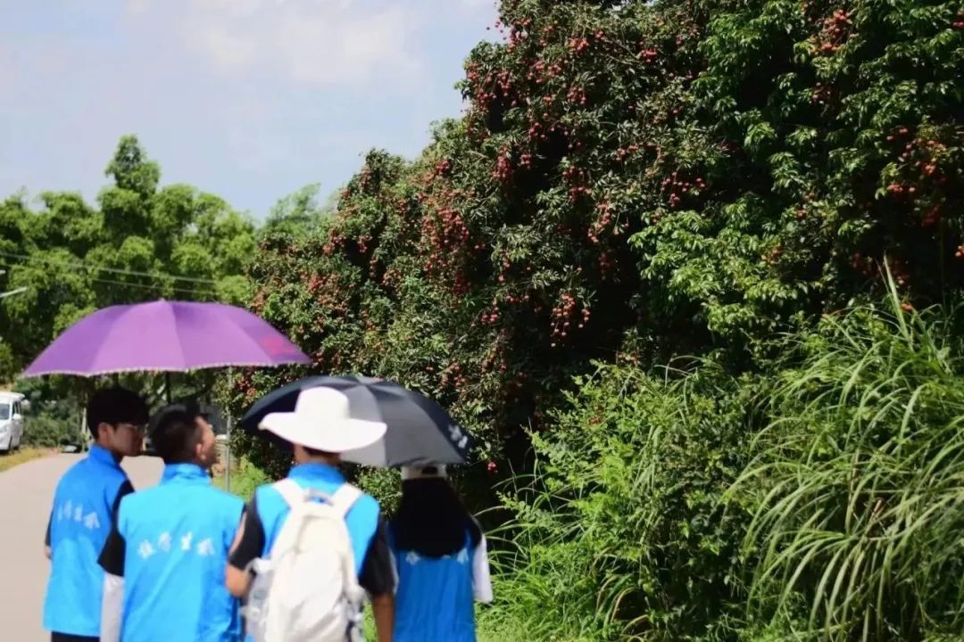 PA视讯集团网站