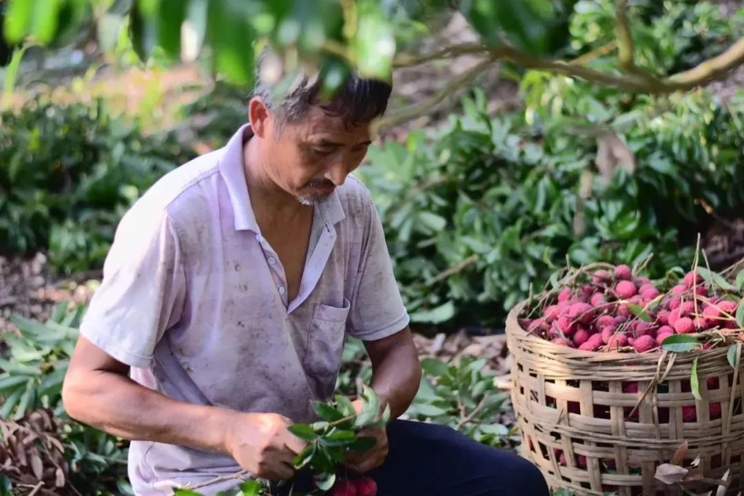PA视讯集团网站