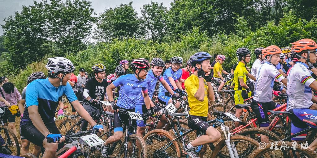 PA视讯集团网站