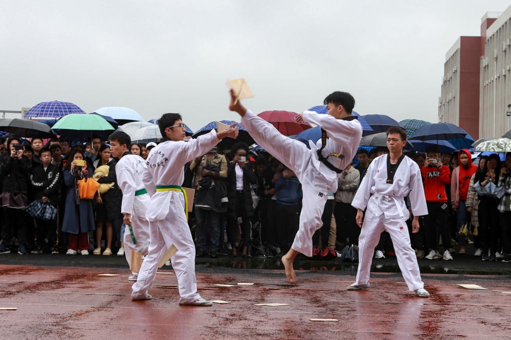 PA视讯集团网站