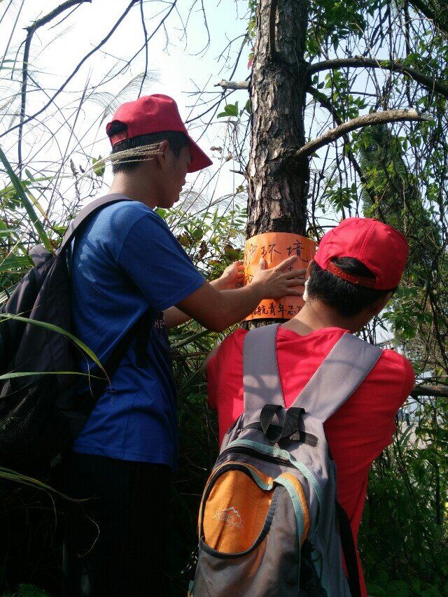 PA视讯集团网站