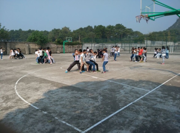 PA视讯集团网站