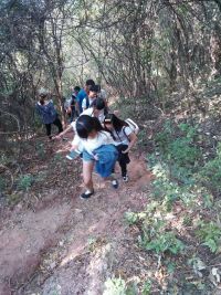 PA视讯集团网站