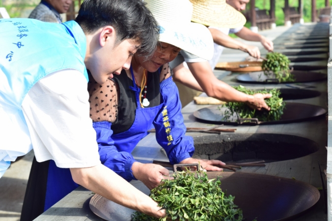 PA视讯集团网站