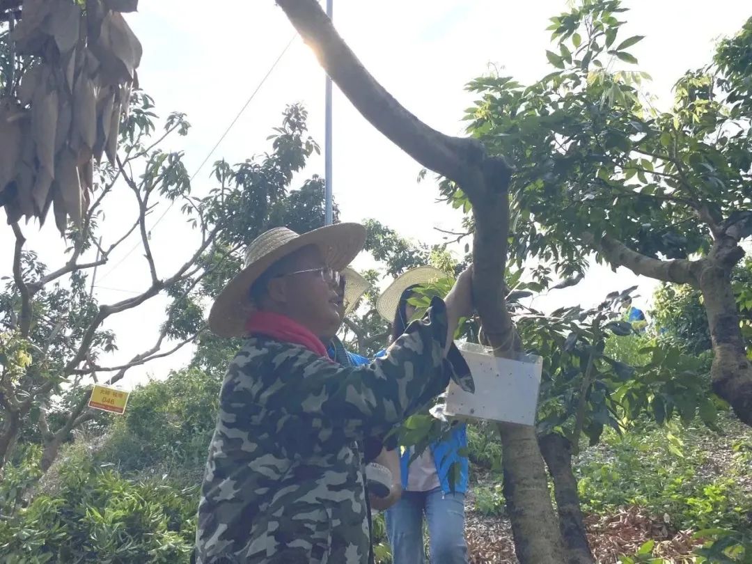 PA视讯集团网站