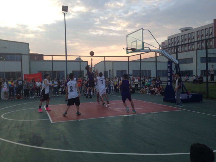 PA视讯集团网站