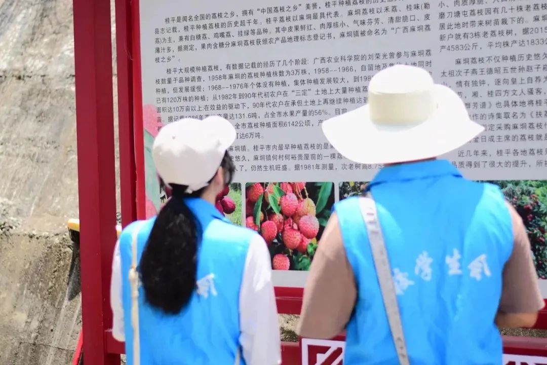 PA视讯集团网站