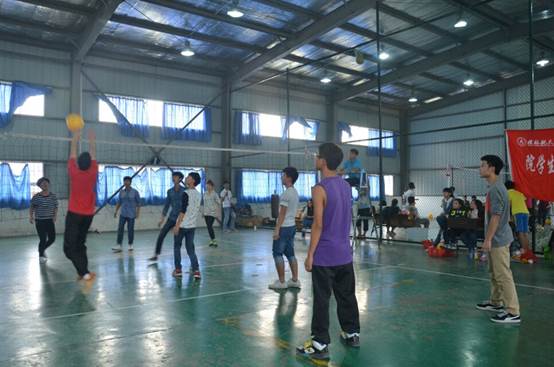 PA视讯集团网站