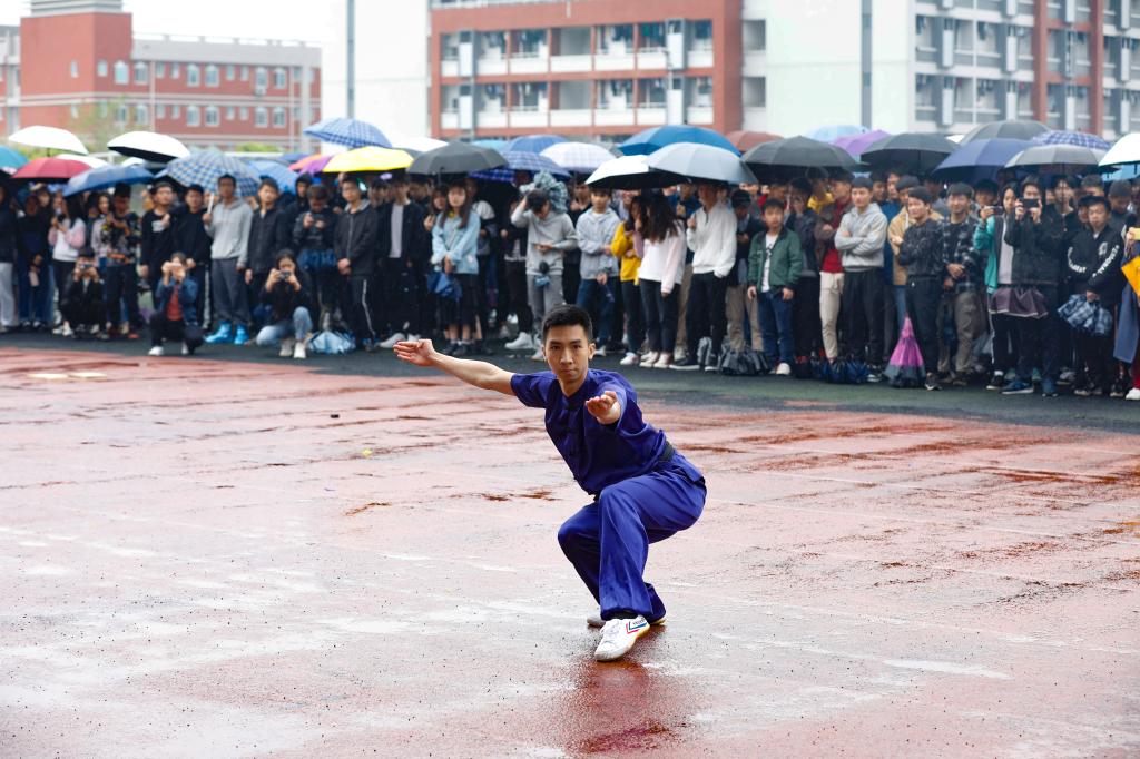 PA视讯集团网站