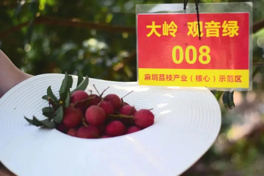 PA视讯集团网站