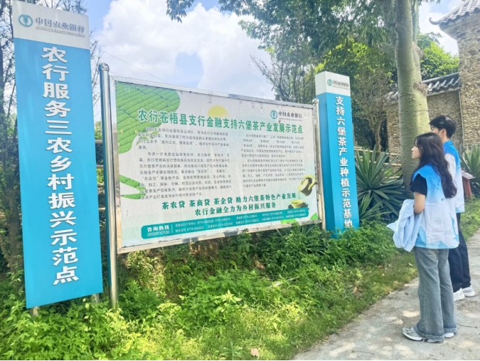 PA视讯集团网站