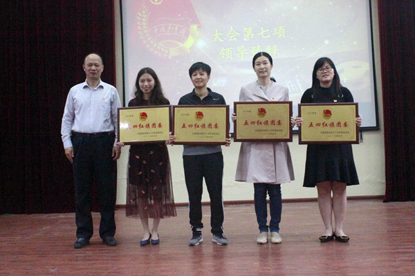 PA视讯集团网站