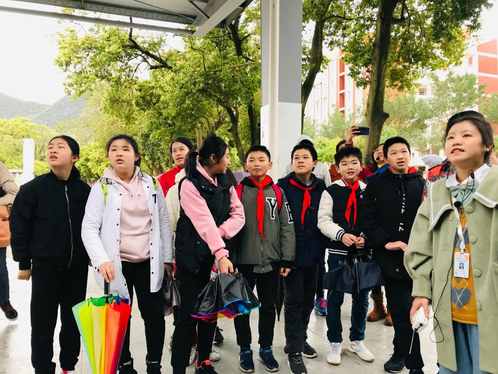 PA视讯集团网站