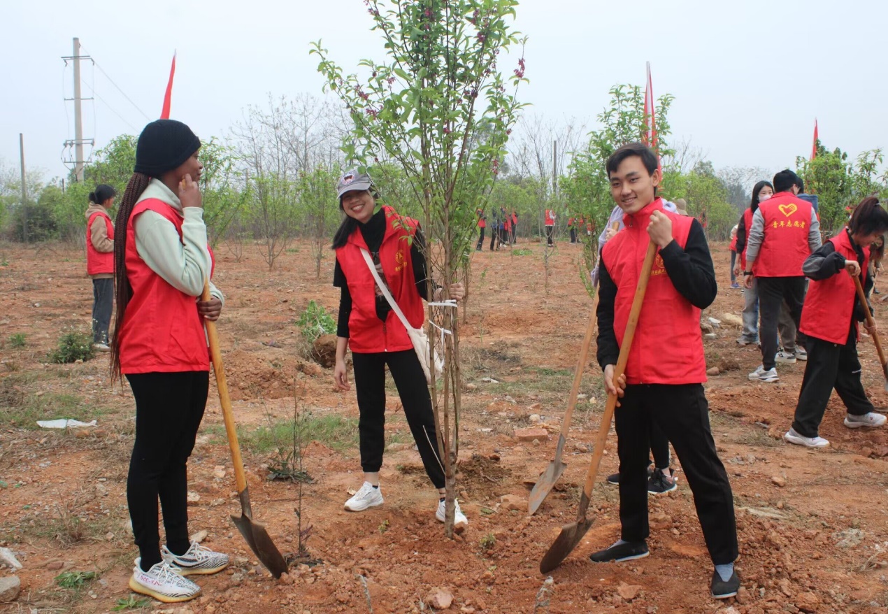 PA视讯集团网站
