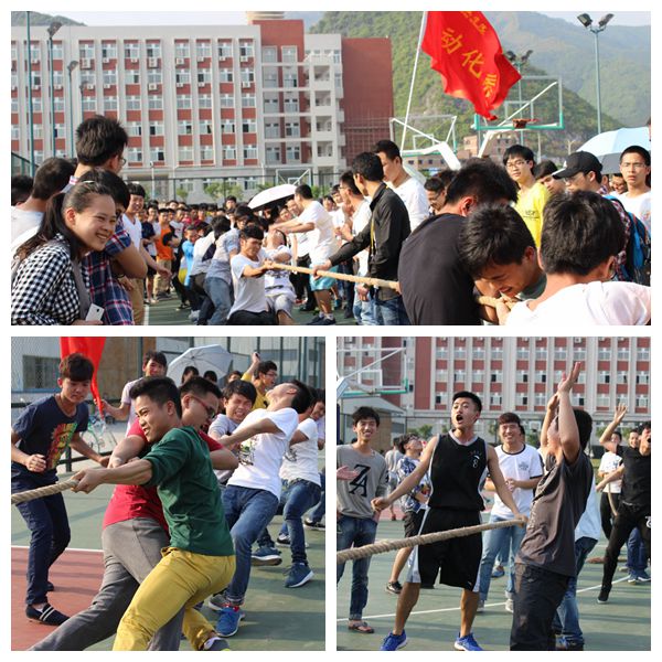 PA视讯集团网站