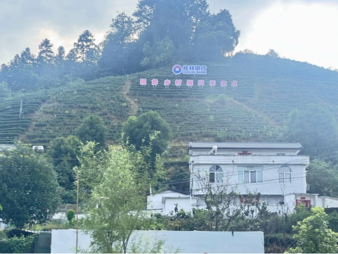 PA视讯集团网站