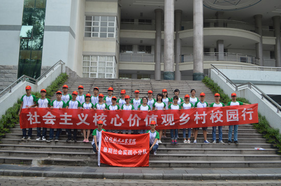 PA视讯集团网站