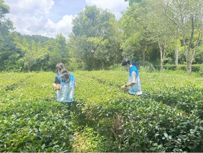 PA视讯集团网站