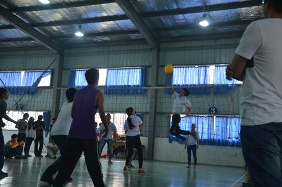 PA视讯集团网站